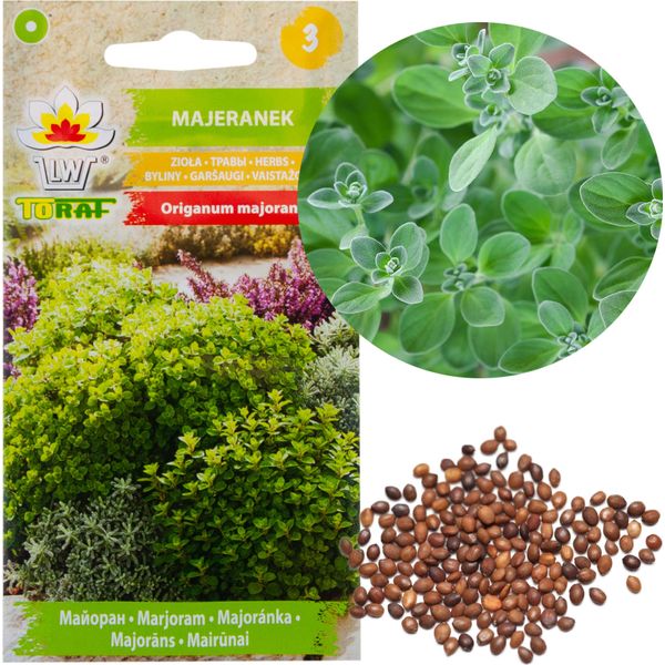 Semi Di Maggiorana Guarnizione Aromatica 1G-image