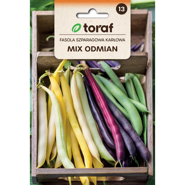 Fagioli, Miscela Di Diverse Varietà Di Fagioli, Baccelli Di Diversi Colori, Semi 40 G-image