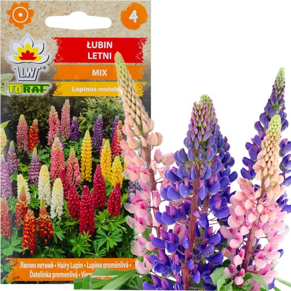 Miscela Di Semi Di Lupino Estivo 1G Fiori Di Lupino Colorati-image
