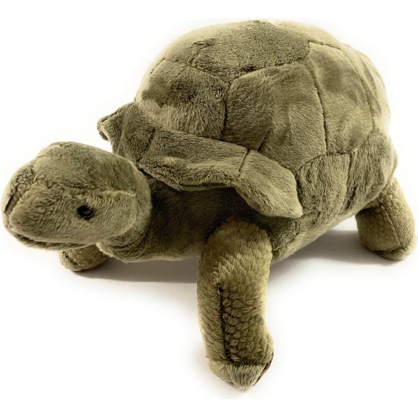 Onwomania Tartaruga 41Cm Peluche Peluche Tessuto Animale Verde-image