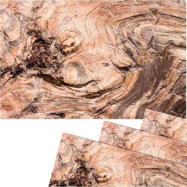 Set Di 4 Tovagliette Lavabili Con Struttura In Radica Effetto Legno-image