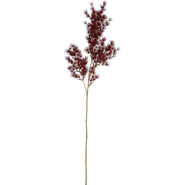 Fiore Artificiale Countryfield Asparago Bordeaux Ramo Decorativo 73Cm-image