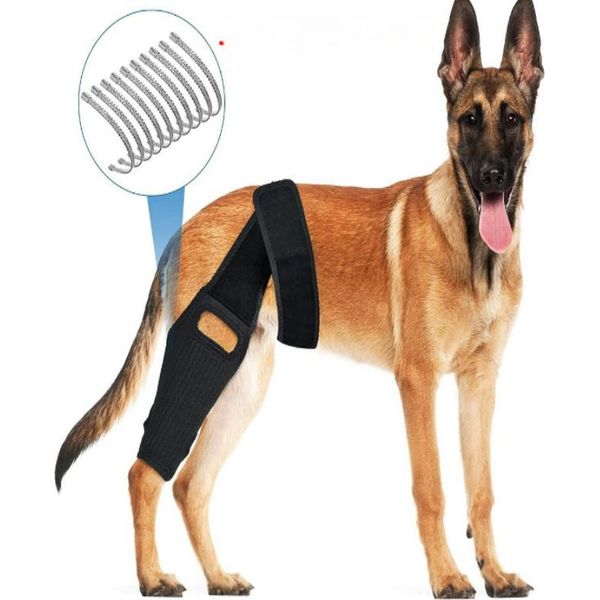 Inf Ginocchiera Per Cani Per Supporto Acl E Recupero Dagli Infortuni-image