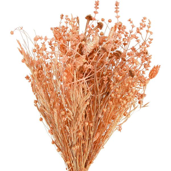 Bouquet Di Fiori Secchi Boho Per Decorazioni Eleganti E Idee Fai Da Te-image