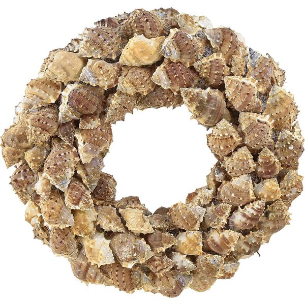 Ghirlanda Di Conchiglie Da Parete Ø35Cm Conchiglie Naturali Marittime Ghirlanda Da Porta Appesa Decorazione In Fibra Di Cocco Fatta A Mano-image
