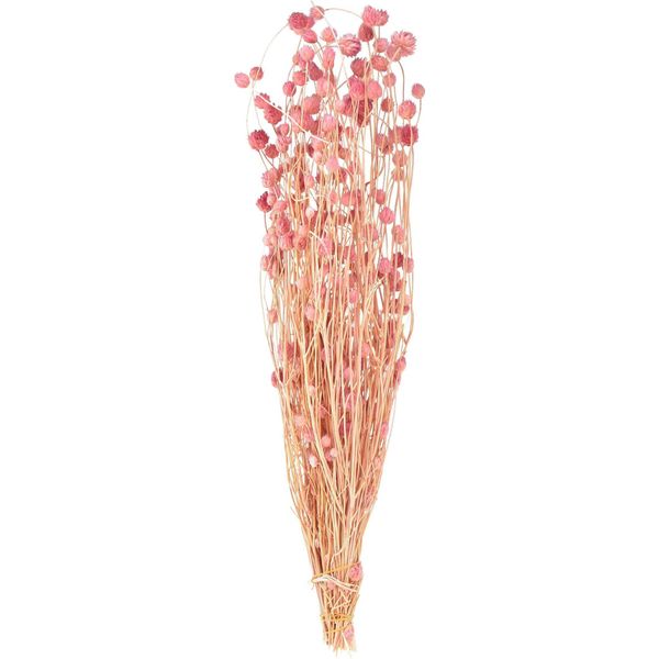 Fiori Secchi Di Cardi Di Fragola Bouquet Di Fiori Decorativi Accenti Floreali Di Nozze-image