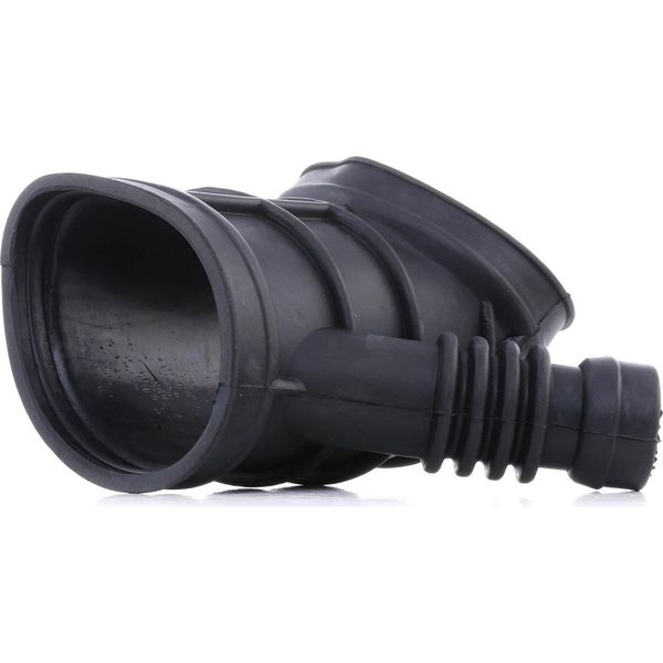 Ridex 1591I0002 - Oe 13 54 1 435 627 Tubo Di Aspirazione, Filtro Aria Per Serie 3 (E46), Serie 5 (E39), Serie 7 (E38), Z3 (E36)-image