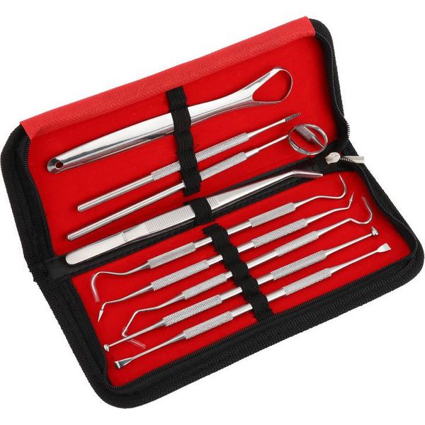 Inf Set Per La Cura Dei Denti - 9 Pezzi Con Custodia D'argento-image