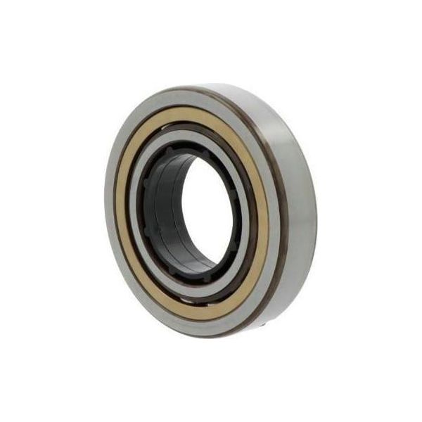 Cuscinetto A Quattro Punti Di Contatto QJ234 N2MA/C3 Id 170Mm Od 310Mm Larghezza52Mm Skf-image