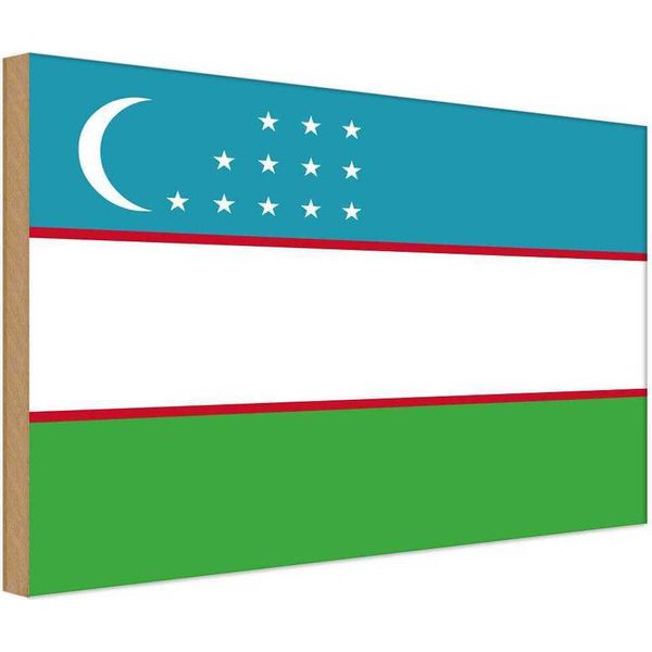 Vianmo Insegna In Legno 20X30 Cm Bandiera Usbekistans Flag Of Uzbekistan-image