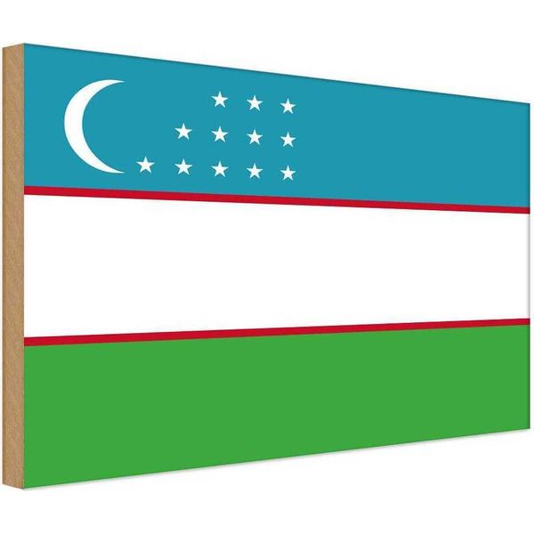 Vianmo Insegna In Legno 30X40 Cm Bandiera Usbekistans Flag Of Uzbekistan-image