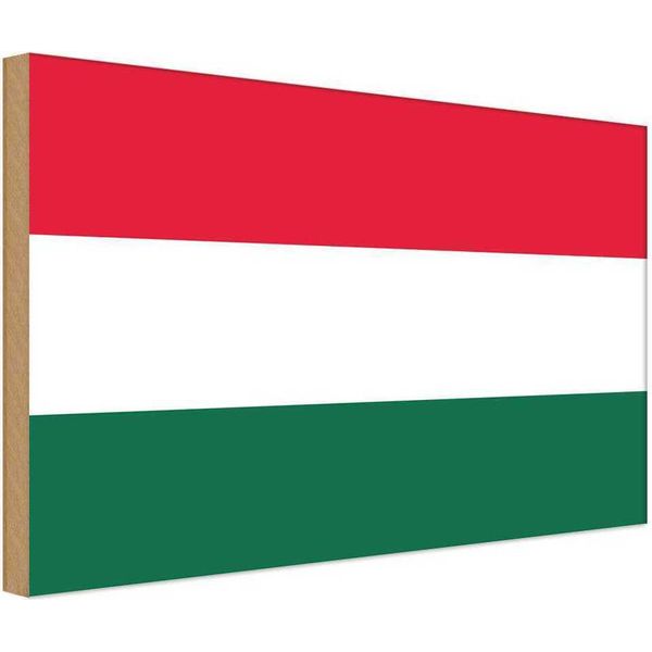 Vianmo Insegna In Legno 30X40 Cm Bandiera Ungarns Flag Of Hungary-image