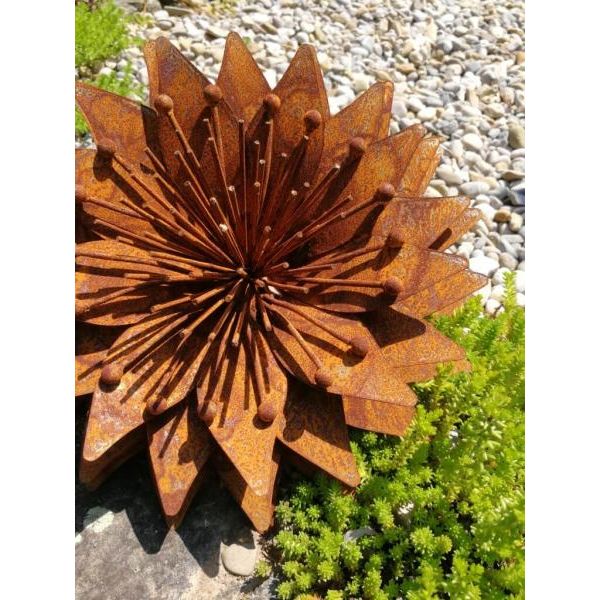Edelrost Blume Sunny #729 Blume Sunny - 24 Cm-image