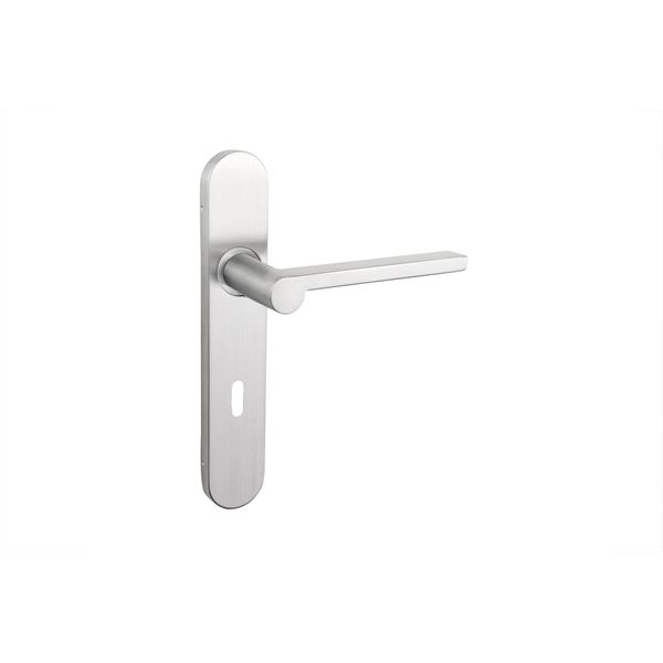 Maniglia Per Porta Lavuzo Caserta In Acciaio Inox Con Piastra Arrotondata SL72 - Per Set-image