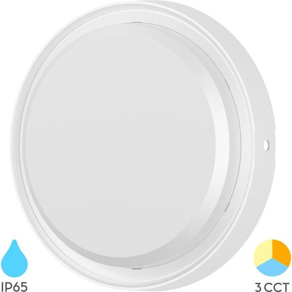 Braytron Moderno Led Applique Plafoniera Plafoniera 12W IP65 3In1 Luce Esterna Ingresso Bianco-image