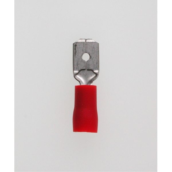 Connettore A Forcella, Spina 6,3 X 0,8 Mm Isolata, Con Crimpatura Dell'isolamento, Senza Linguetta Di Bloccaggio Sezione 0,5 Mm² - 1,5 Mm² Rosso --image