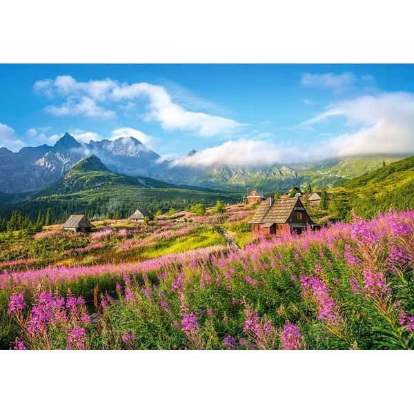 Castorland Hala Gsienicowa, Tatra, Polonia, Puzzle 1000 Pezzi-image