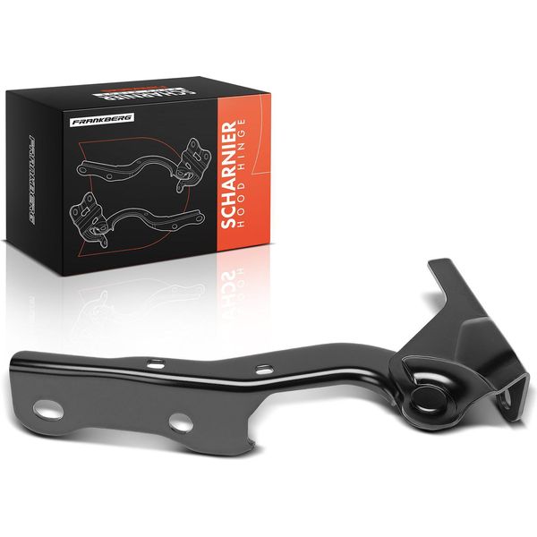 Frankberg 1X Cerniera Cofano Lato Passeggero Per Hyundai Tucson Jm 2.0L-2.7L 2004-2010-image