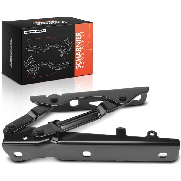 Frankberg 1X Cerniera Cofano Lato Guida Per Tesla Model S 5YJS Anno Dal 2012-image