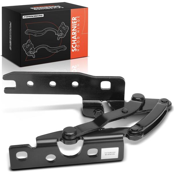 Frankberg 1X Cerniera Cofano Lato Passeggero Per Bmw Serie 7 E65 E66 E67 2001-2008-image