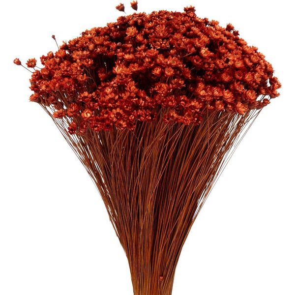 Elegante Bouquet Di Fiori Secchi Per Accenti Decorativi In Ambienti Di Vita E Di Festa-image