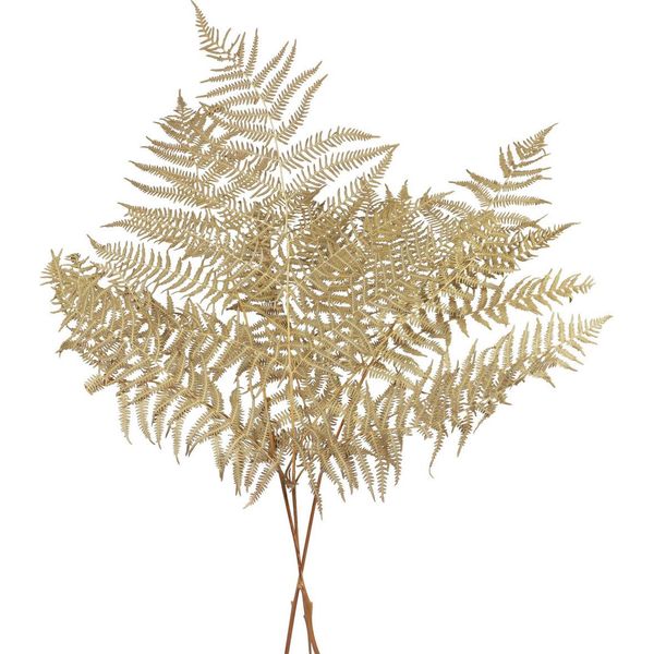Fiori Secchi Decorativi Felce 70 Cm - 10 Foglie Di Felce Naturali - Composizioni Floreali Secche E Decorazioni Autunnali, 10 Pezzi-image