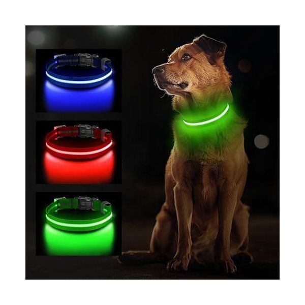 Collare Leggero Per Cani, Led Ricaricabile Per Cani Di Piccola, Media E Grande Taglia, Impermeabile Luminoso Regolabile, 3 Modalità, Verde-M-image