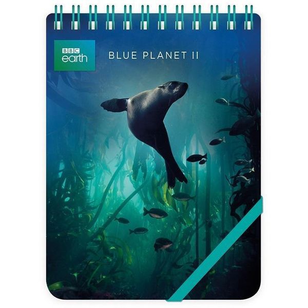 Taccuino Decorativo Con Leoni Marini Delle Galapagos-image
