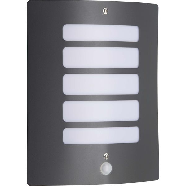 Todd, Lampada Da Parete Per Esterni, Rilevatore Di Movimento Antracite-image