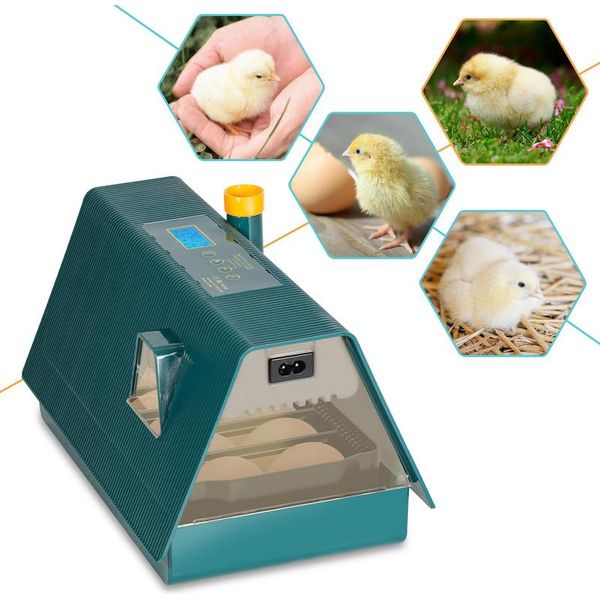 Incubatrice Tolletour Finestra Di Osservazione Dell'incubatrice Incubatrice Automatica Per 10 Uova Di Pollo-image