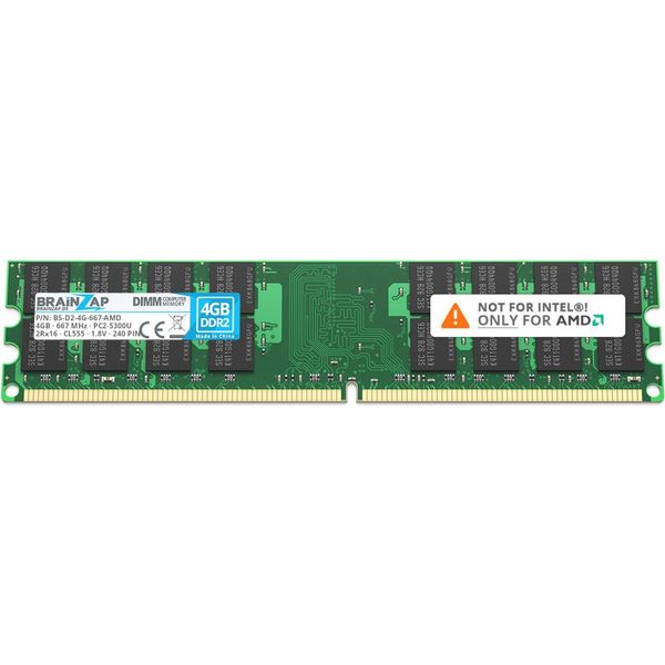 Brainzap 4GB DDR2 Ram Dimm PC2-5300U 2Rx16 667 Mhz 1.8V CL5 Amd Memoria Pc-image