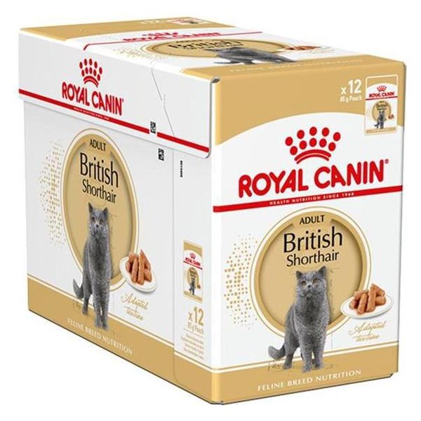 Royal Canin British Shorthair Adult Umido 12X85 G-image