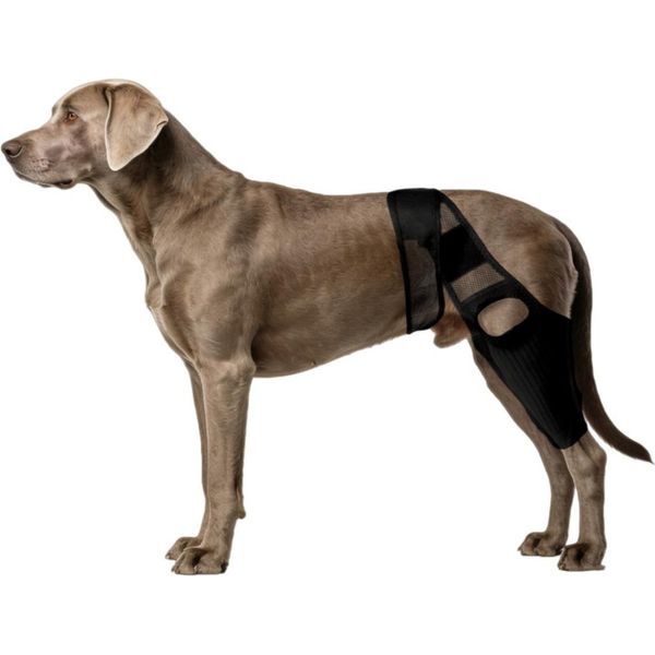 Inf Tutore Posteriore Traspirante Per Zampe Di Cane L-image