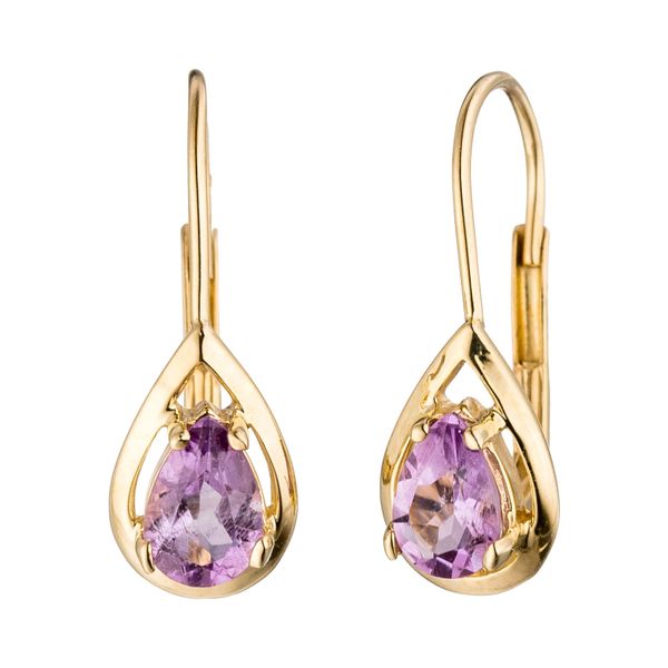 Paar OhrhäNger Jobo, Gold (Gelbgold 333), Ohrringe, Damen, Gelbgold 333, Tropfen 333 Gold Mit Amethyst-image