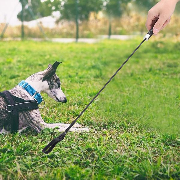 Frusta Per L'addestramento Del Cane, Frusta Per L'addestramento Del Cavallo, Frusta Per Cani, Frusta Per Cavalli, Frusta Per Animali Domestici-image