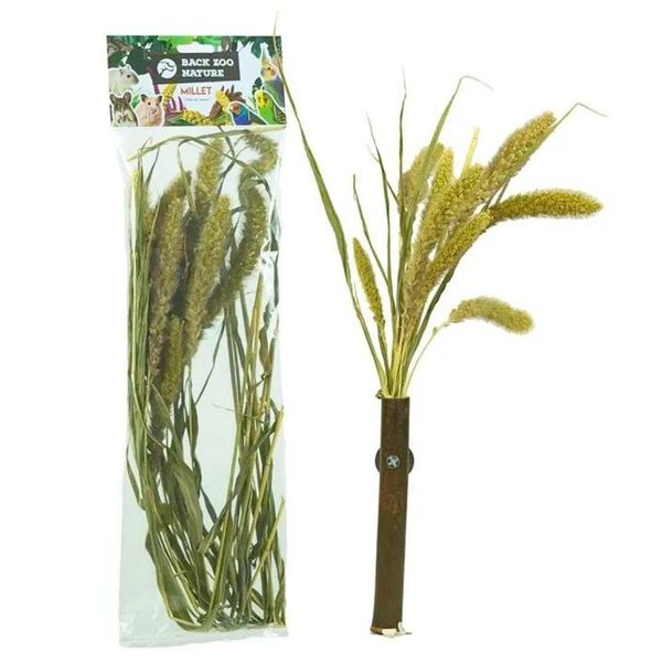 Back Zoo Nature | Bouquet Di Cereali Setaria | Per Tutti I Pappagalli 30G-image