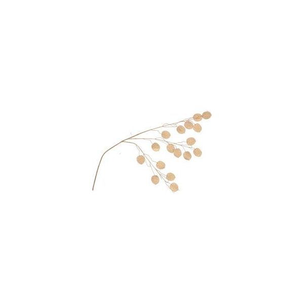 Ramo Artificiale Senza Marca Dollaro D'argento Oslo Gold 71Cm | 12 Pezzi-image