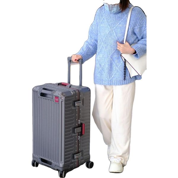 Valigia Da Viaggio, Materiale Abs, Rotelle, 20 Pollici, Grigio Scuro-image