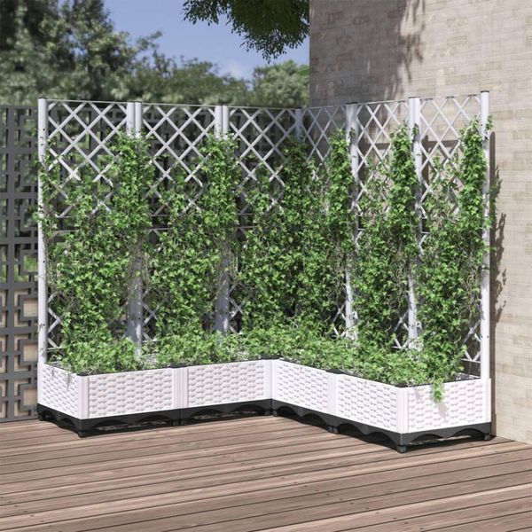 Maison Exclusive - Fioriera Da Giardino Con Graticcio Bianco 120X120X121,5 Cm Pp-image