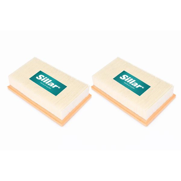 2× Filtro Pieghettato Classe Di Polvere L – Ricambio, Compatibile Con Bosch Gas 35 L Afc / Sfc+ / Gas 35 M Afc-image