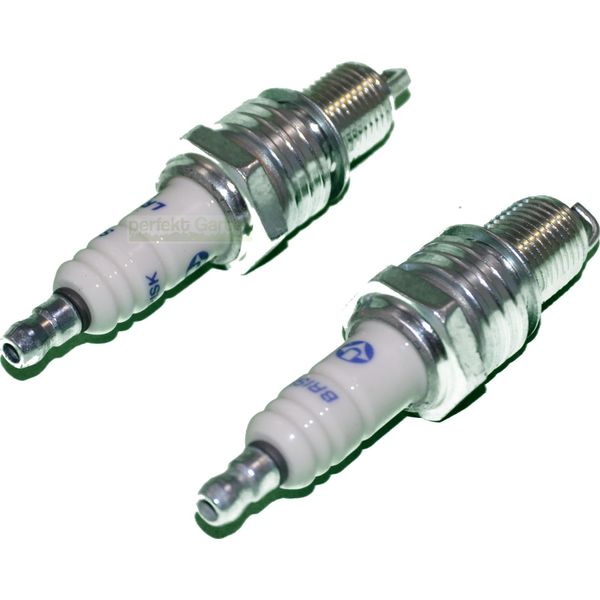 2 Candele Per Parkside Pbrm 51 A1, Parkside Pprm 2000 A1 Tosaerba-image
