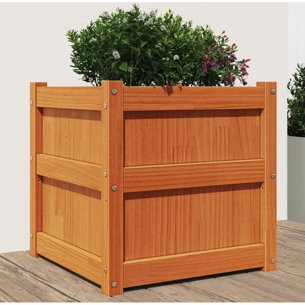 Maison Exclusive - Vaso Da Fiori Marrone Cera 50X50X50 Cm Legno Massello Di Pino-image