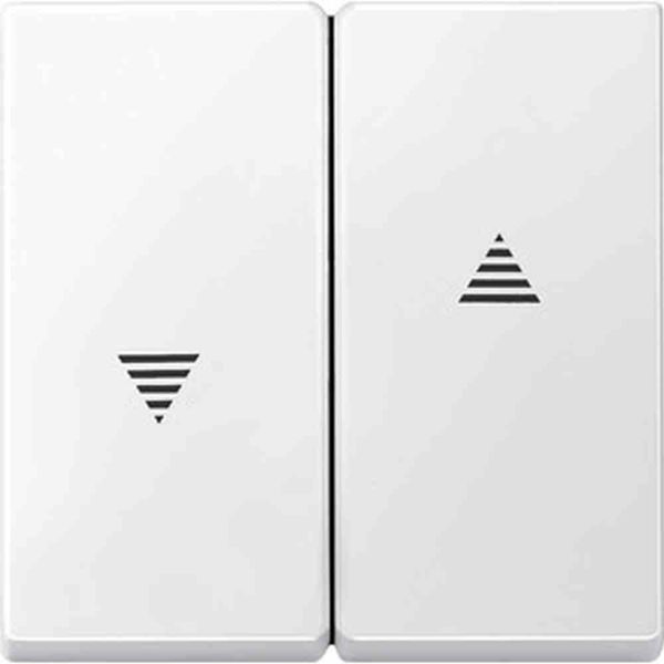 Merten 434419 Bilanciere Per Interruttore E Pulsante Per Tapparelle, Bianco Polare, Sistema M-image