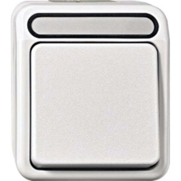 Merten MEG3156-8029 Pulsante Con Terminale N, Commutatore A 1 Polo, Grigio Chiaro, Aquastar-image