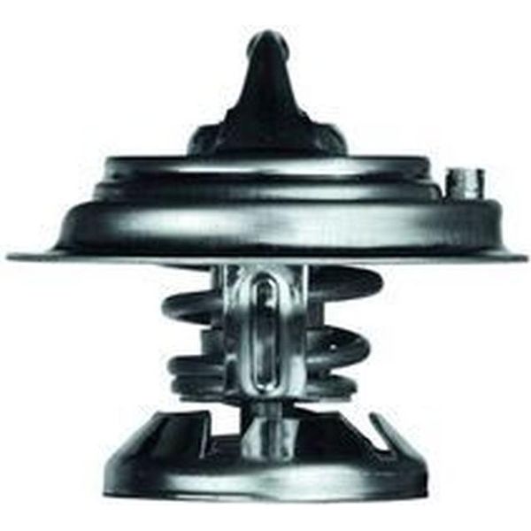 Termostato Inserto Filtro Refrigerante Mahle Per Mercedes 124 Notchback-image