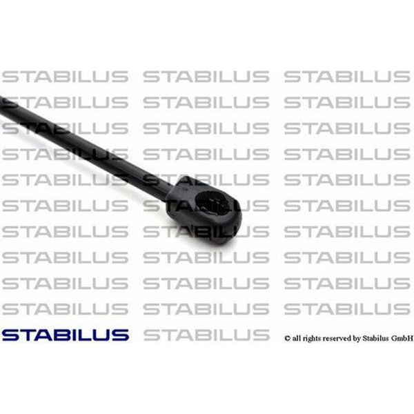 Stabilius Ammortizzatore Portellone Posteriore Molla A Gas Bagagliaio Portellone Posteriore 9176Hk-image