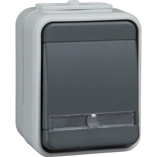 Pulsante Elso 1 Contatto Na Montato In Superficie, Grigio/Grigio ELG442119-image