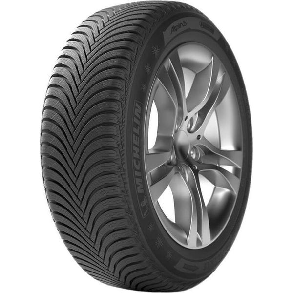 Michelin Alpin 5 (N0) 225/50R16 96H Xl-image