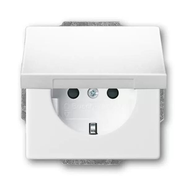 BUSCH-JAEGER Presa Di Corrente 1F Std-Ws Glz Da Incasso A Battente IP20 Zp-image