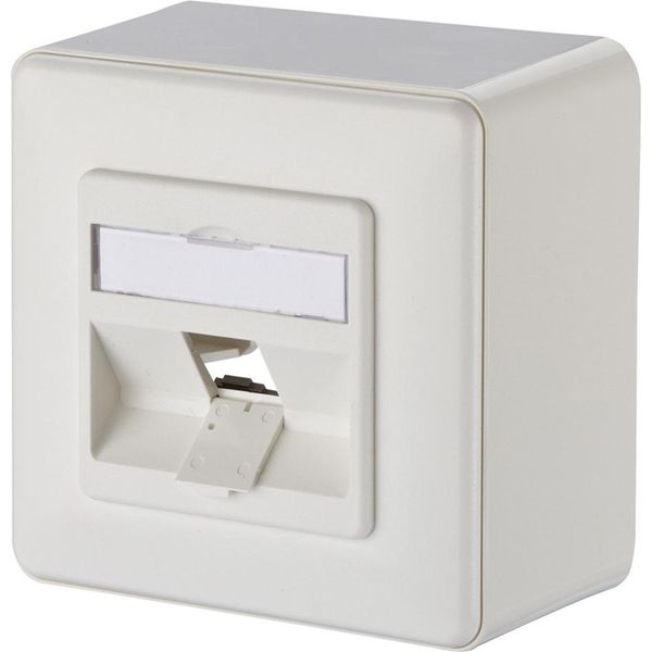 Metz Connect Scatola Di Giunzione Keystone Ap 1 Porta Non Equipaggiata Bianco Puro-image